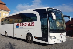 MERCEDES - BENZ Travego (49+1 míst)